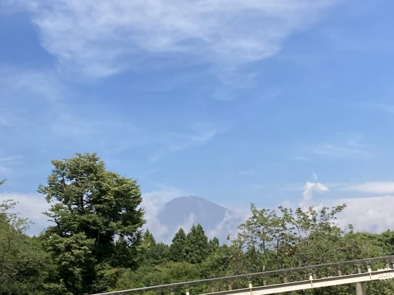足柄PAからの富士山